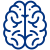 brain